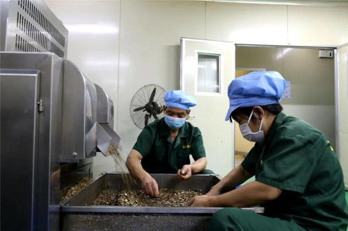 李茂濤深入重點工業(yè)企業(yè)走訪調(diào)研，聚焦技術(shù)交流與創(chuàng)新發(fā)展